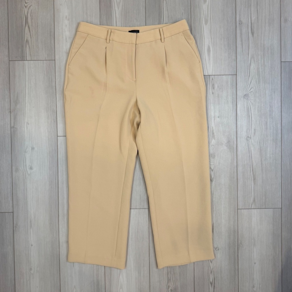 Talbots Petite Beige Pleated Straight Leg Dress Pants Size 14P